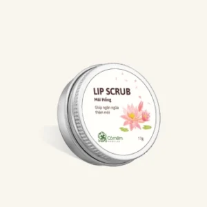 Tẩy da chết môi Lip Scrub